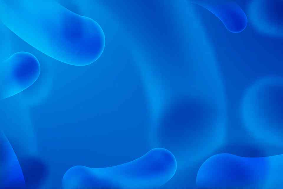 Probiotiques et GLP-1 : Comment l’Akkermansia affecte le métabolisme featured image