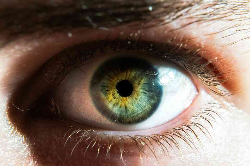 GLP-1 Drugs: Protecting Vision Despite Retinopathy Concerns featured image